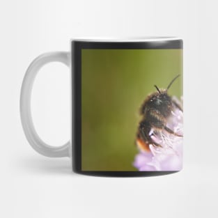 Pollen Covered Bee macro Mug